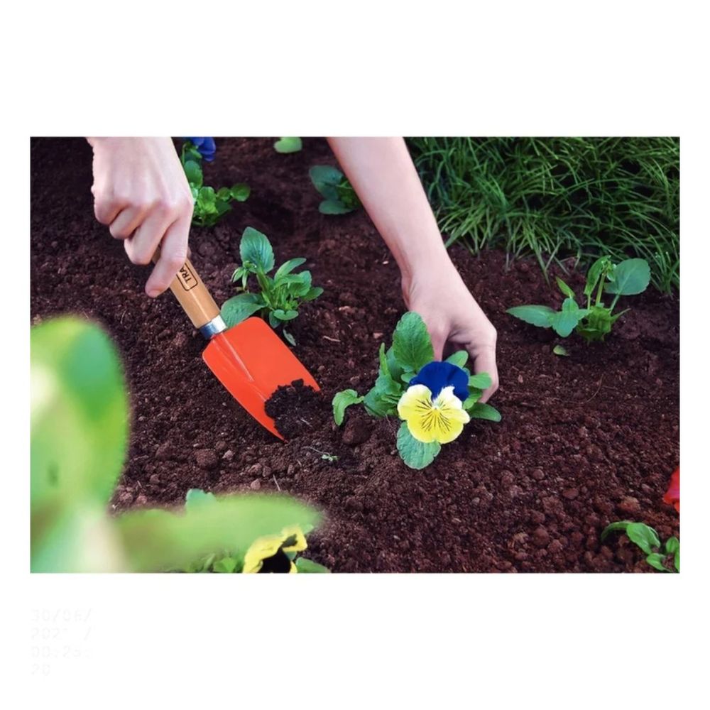 Pazinha Estreita C/ Cabo Madeira Tramontina - Thony Ferragem