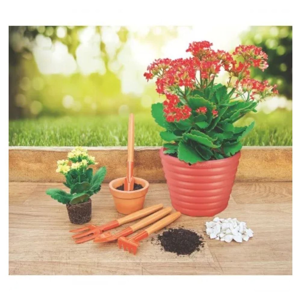 Conjunto Jardim 4 Pecas - Thony Ferragem