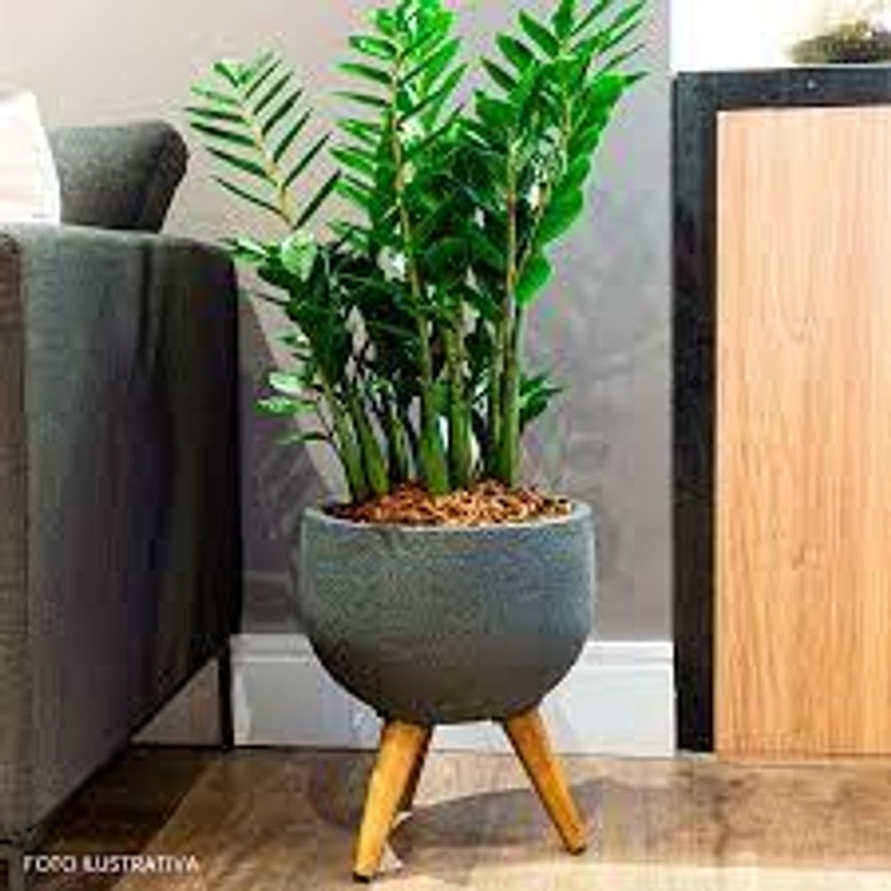 VASO DECORE REDONDO 33 CHUMBO JAPI - Thony Ferragem