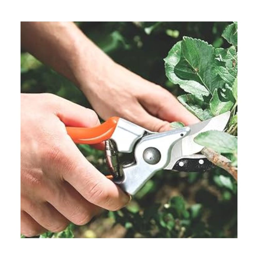 Tesoura De Poda Profissional - Thony Ferragem