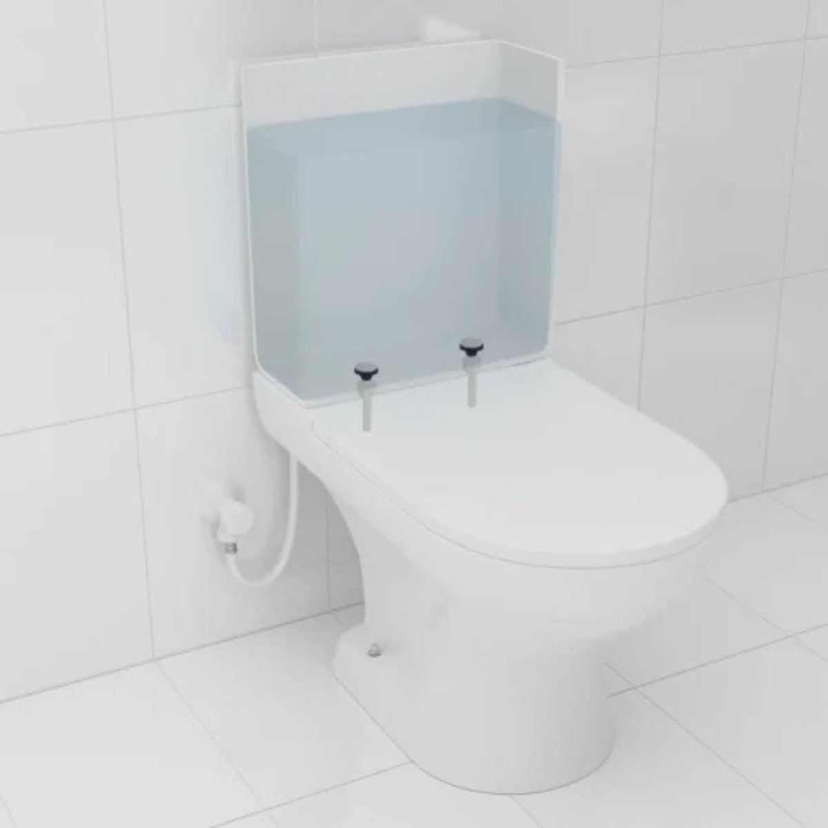 Conjunto de Fixação para Assento Sanitário e Caixa Acoplada Censi