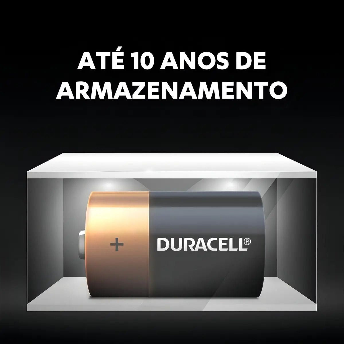 Pilha Alcalina Grande D Com 2 Unidades Duracell