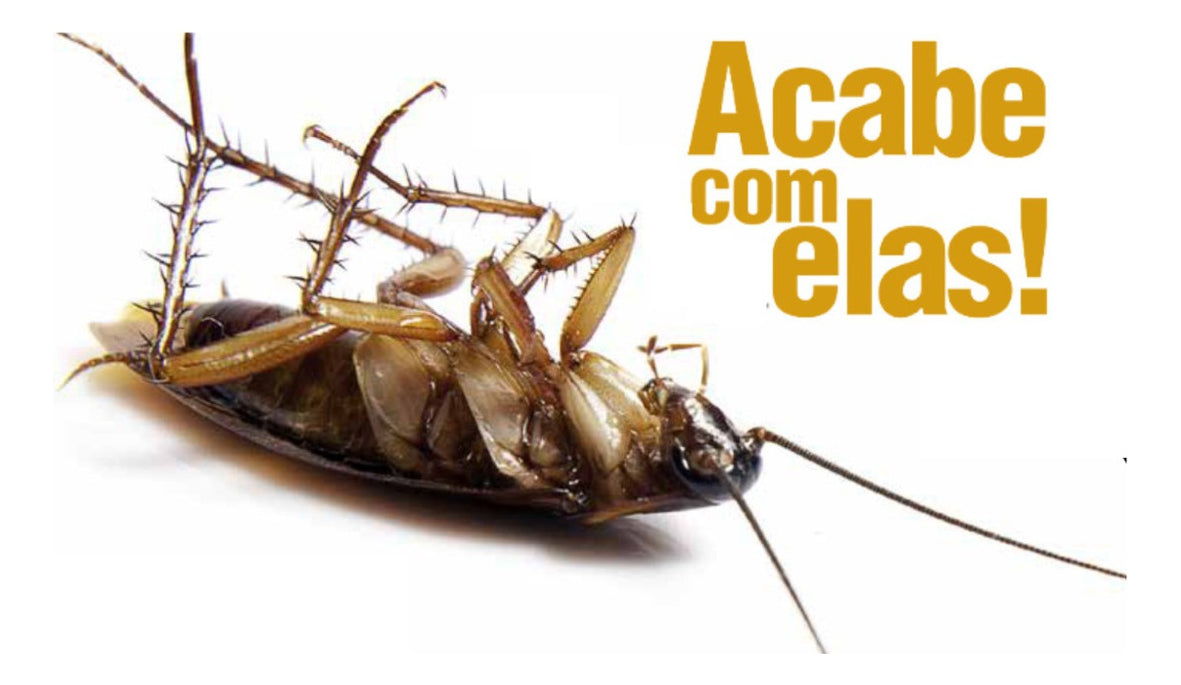 Gel Para Baratas 10g Citromax - Thony Ferragem