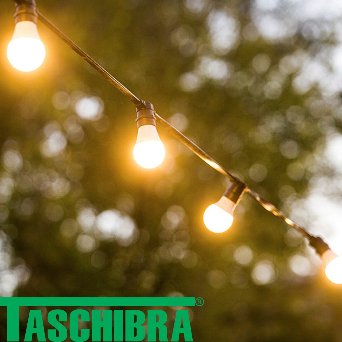 Lampada Led Bulbo Tkl 100 17W 3000k Taschibra - Thony Ferragem