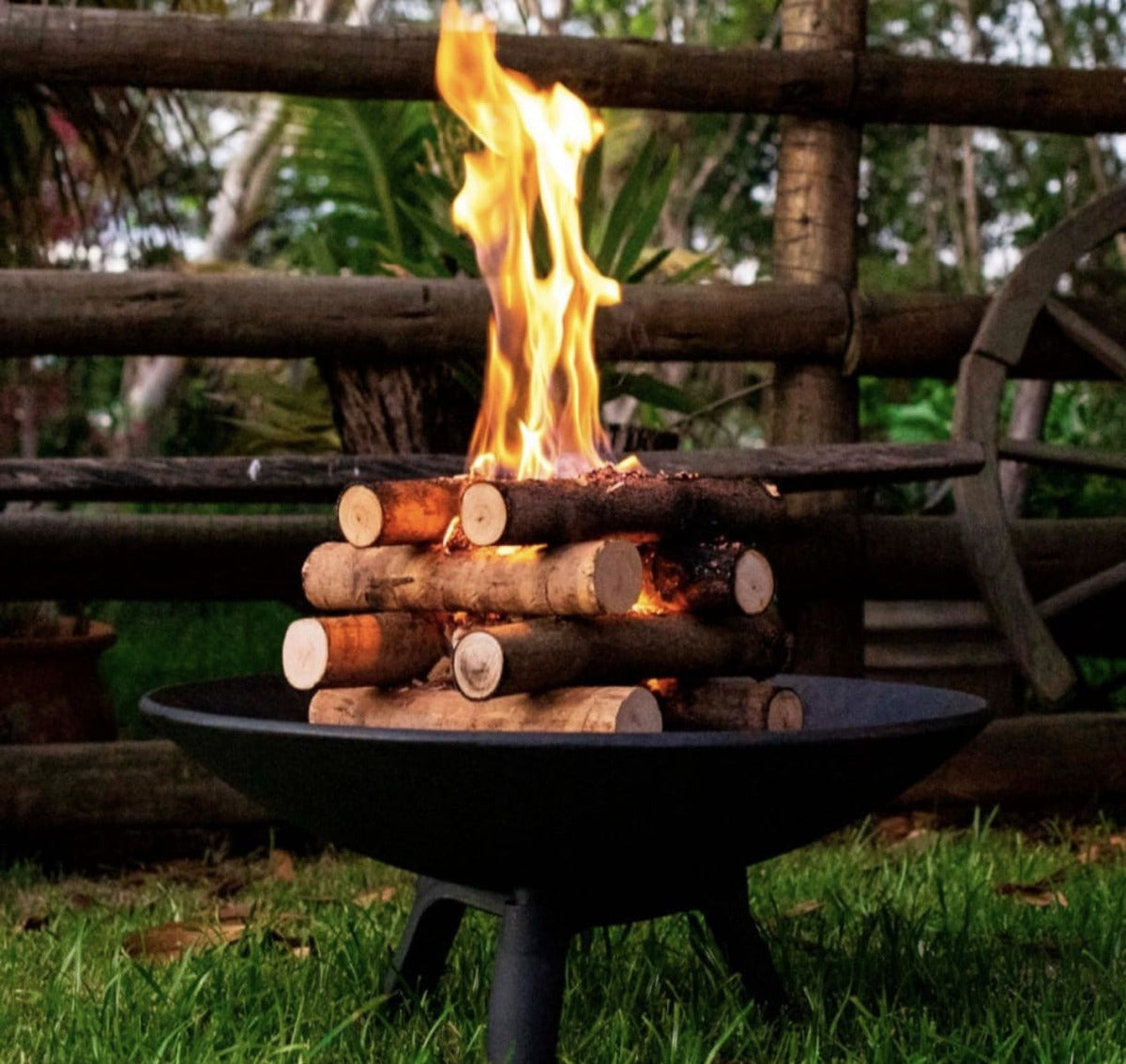 Lenha Acacia Negra Saco 10Kg Ivoti - Thony Ferragem