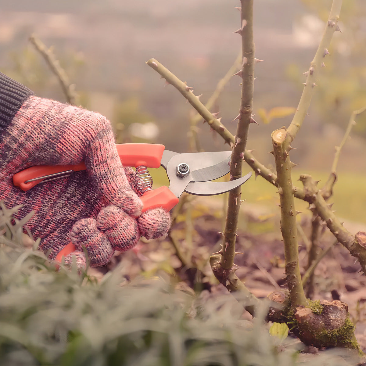 Tesoura De Poda Metalica C/Cabo Plastico Tramontina - Thony Ferragem