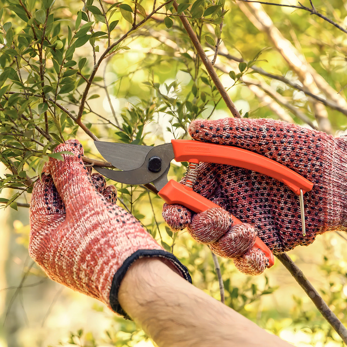 Tesoura De Poda Metalica C/Cabo Plastico Tramontina - Thony Ferragem