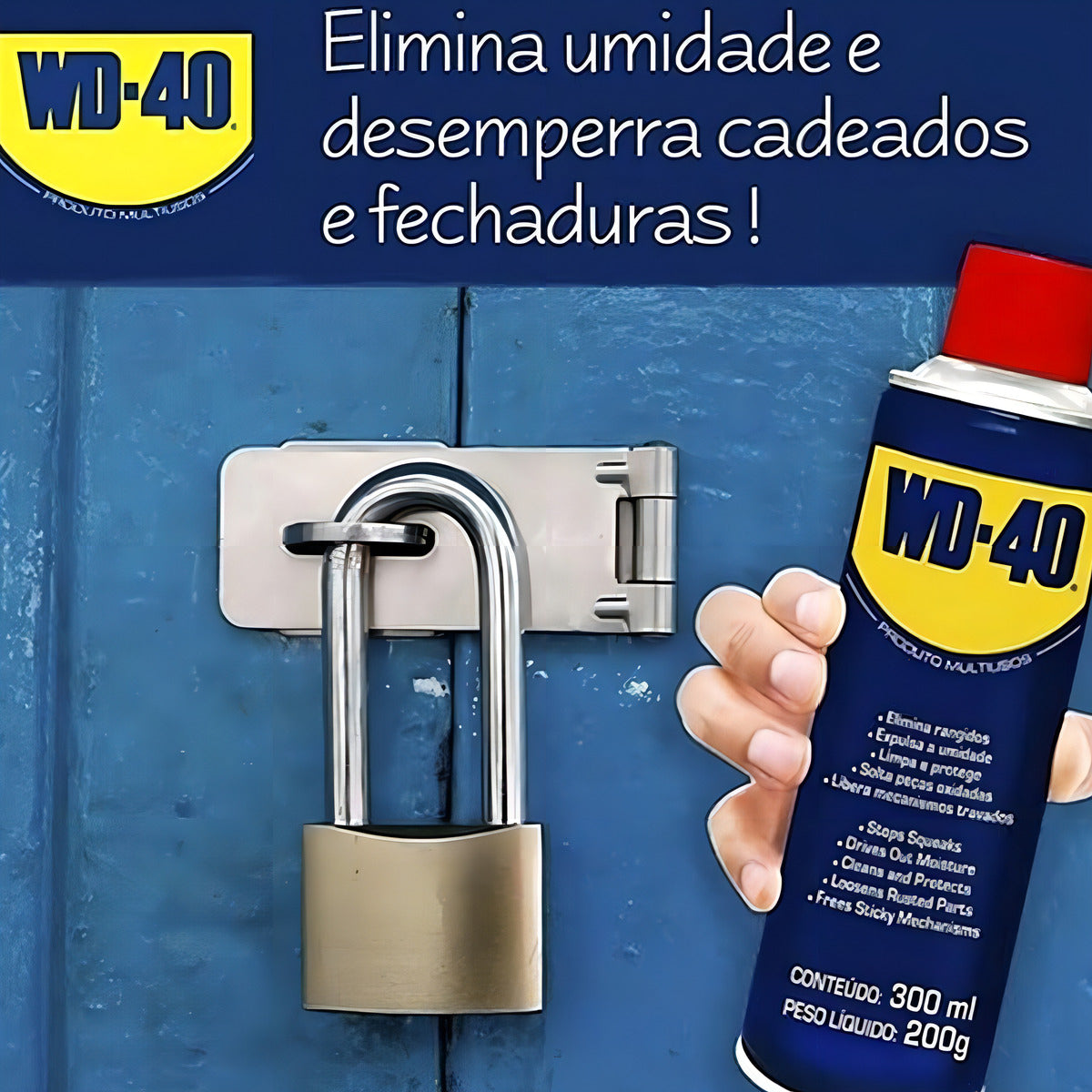 Spray Lubrificante Aerosol 300 Ml Wd40 - Thony Ferragem