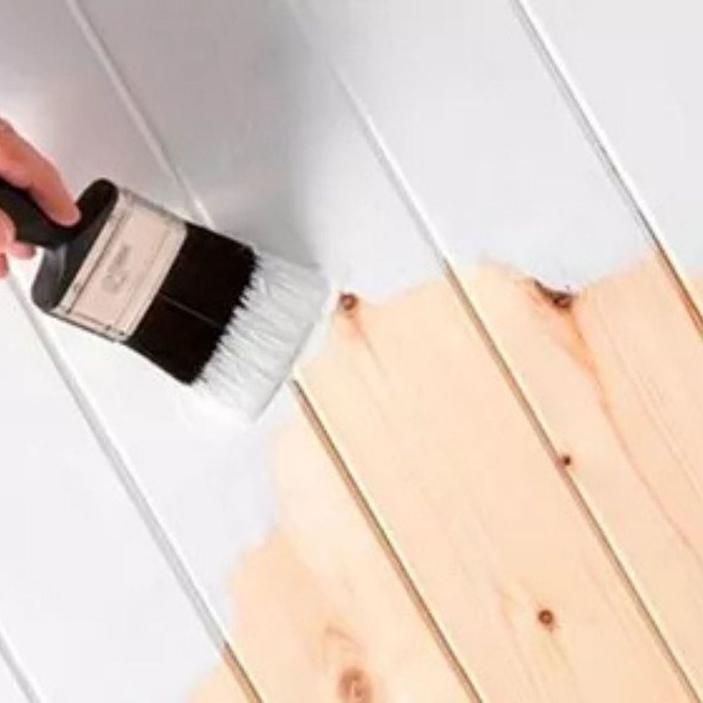 Tinta Esmalte Sintetico Brilhante Branco 225ml Suvinil - Thony Ferragem