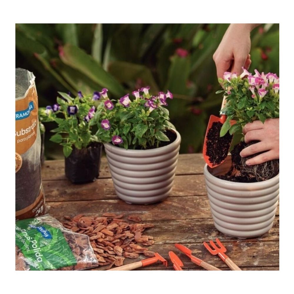 Substrato Casca De Pinus 2kg - Thony Ferragem