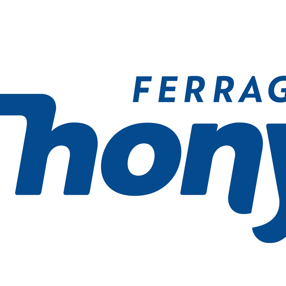 Thony Ferragem Ltda