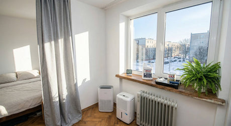 Mofo e Umidade no Apartamento no Inverno: 10 Soluções Práticas