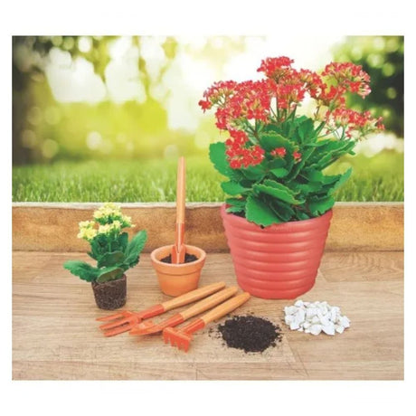 Conjunto Jardim 4 Pecas - Thony Ferragem