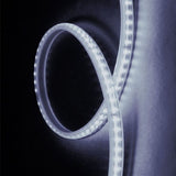 FITA LED TECHCORD 5W 60 LEDS/M 5M 127V IP65 6500K - Thony Ferragem
