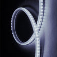 FITA LED TECHCORD 5W 60 LEDS/M 5M 127V IP65 6500K - Thony Ferragem