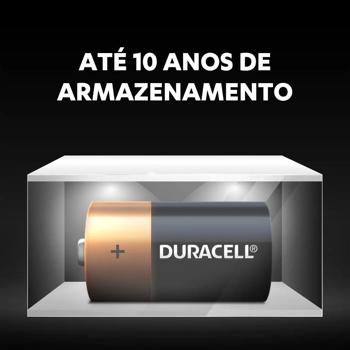 Pilha Alcalina Média C Com 2 Unidades  Duracell