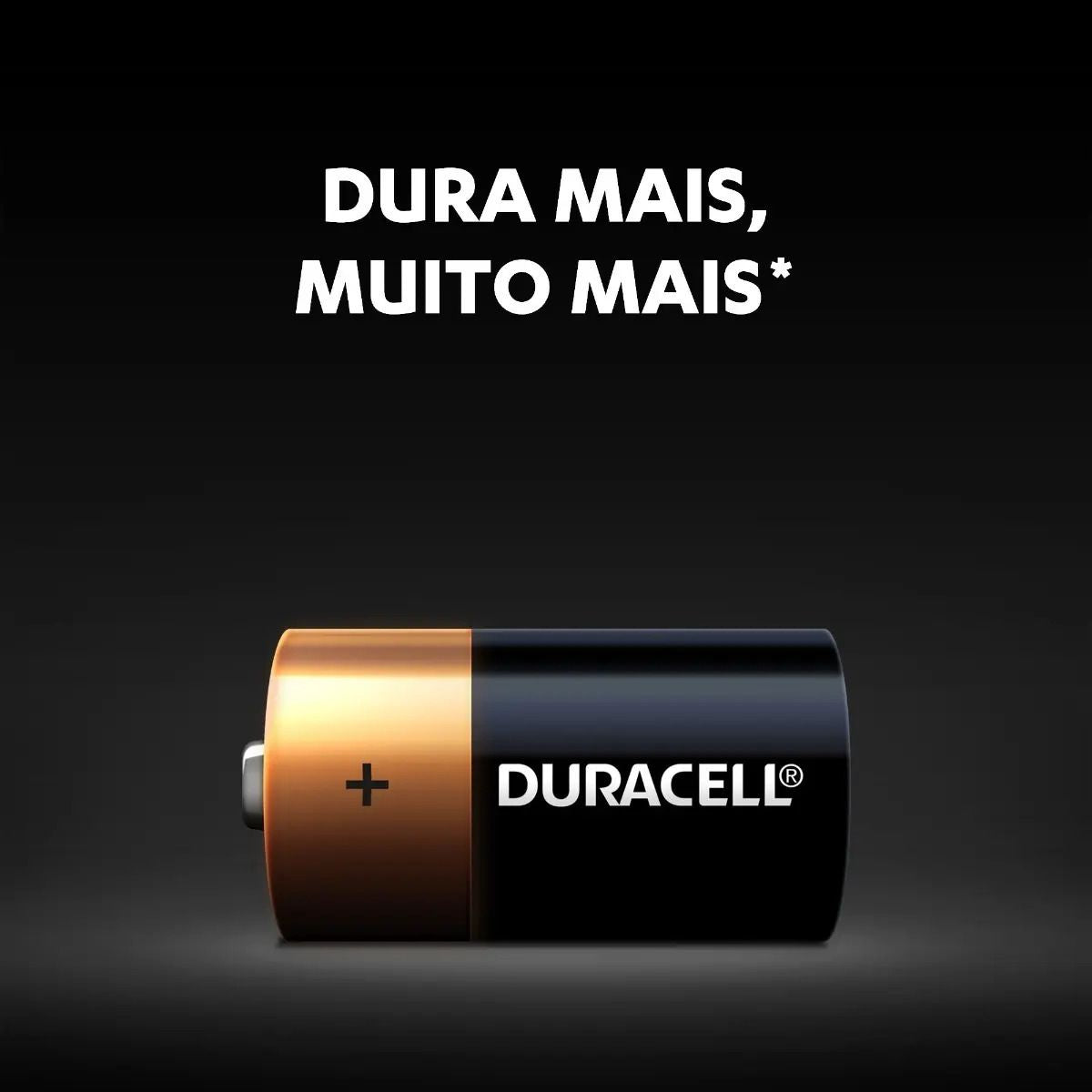 Pilha Alcalina Média C Com 2 Unidades  Duracell