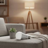 Lâmpada LED Bulbo A75 18W 6500K E27 Philips
