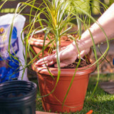 Vaso Jardim Plástico Grande 45cm Ocre Atlas