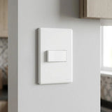 Conjunto de Interruptor Simples 10A Branco Orion Schneider