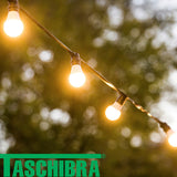 Lampada Led Bulbo Tkl 100 17W 3000k Taschibra - Thony Ferragem