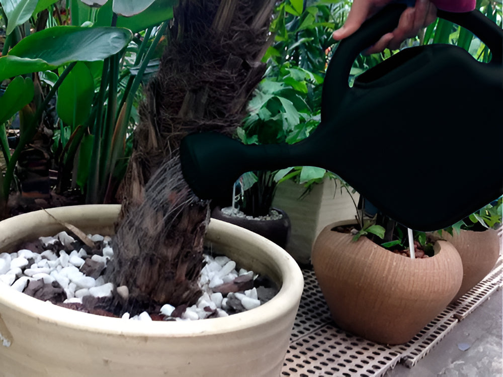 Regador C/ Crivo 5l Preto Metasul - Thony Ferragem