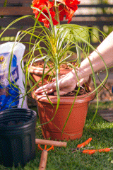 Vaso Jardim Plastico Medio 22cm Cinza Atlas - Thony Ferragem